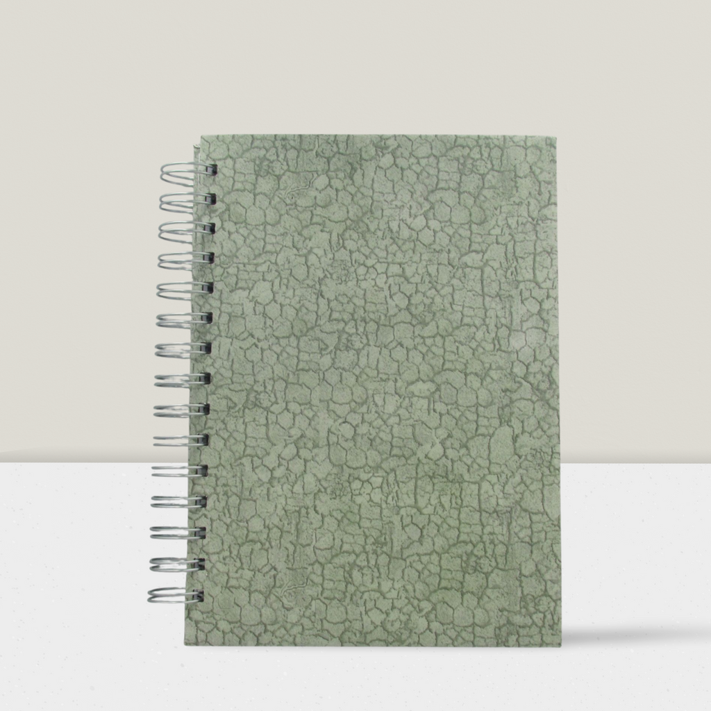 A5 lined notebook - A5N196L